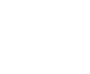 Dan Nong