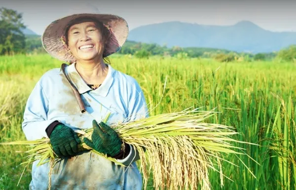 Cam Kết Đồng Hành Cùng Nhà Nông