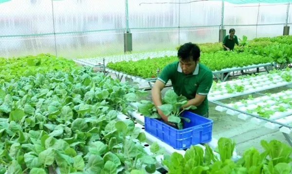 Trung Tâm Hỗ Trợ Nông Nghiệp Đan Nông Luôn Bên Bạn 24/7